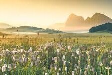 九游神途下载-九游神途，解锁传奇世界的全新体验